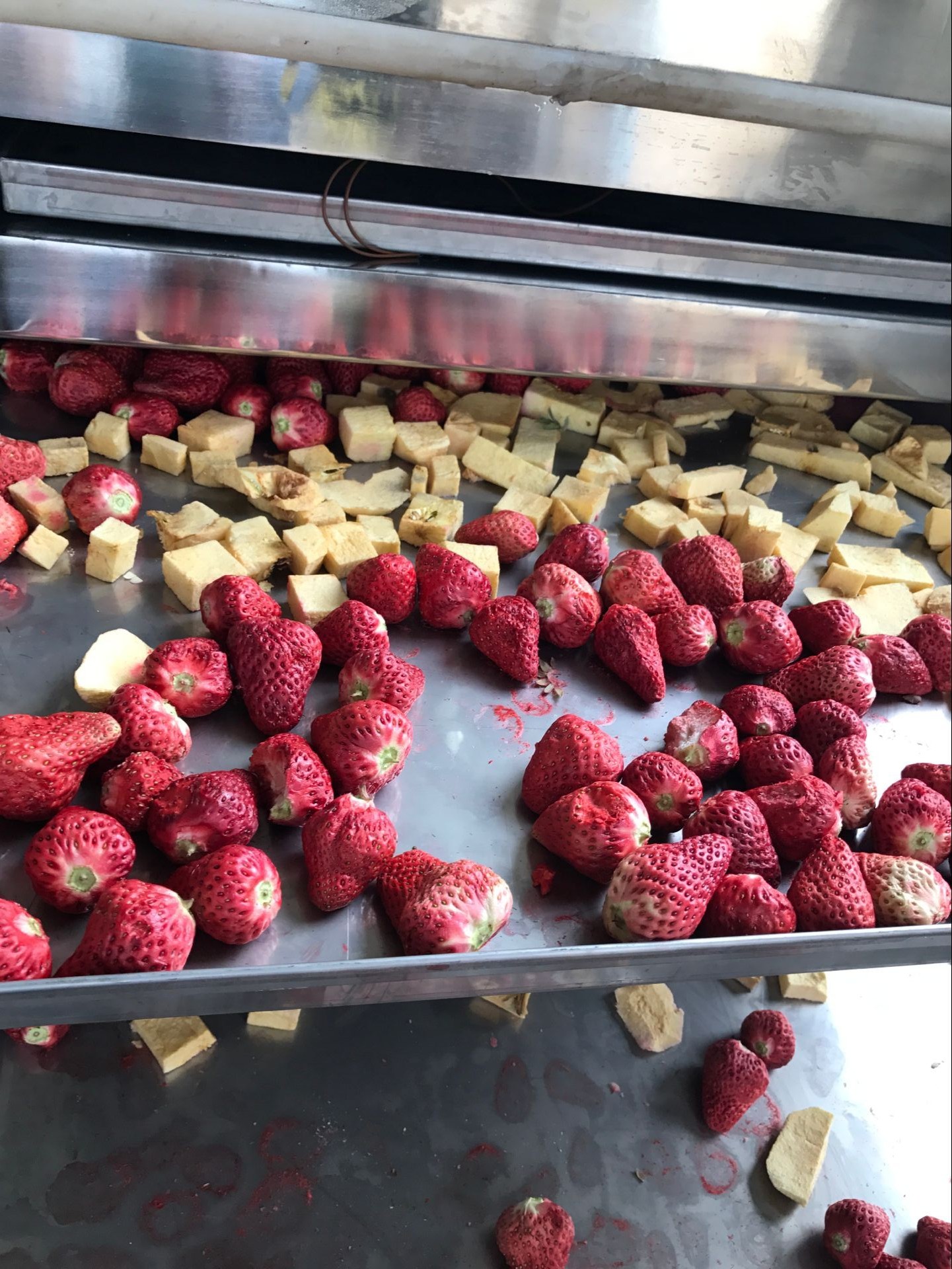 ���ɲ�ݮƻ����