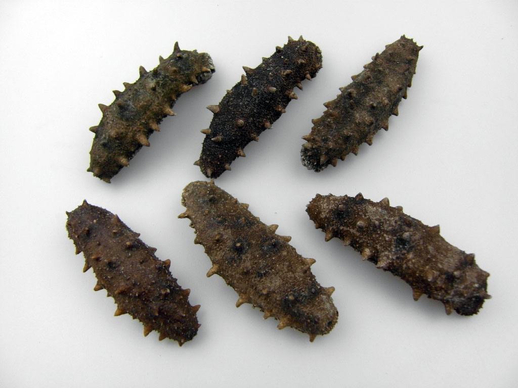 RHLD-FD���ɺ���